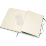 Блокнот MOLESKINE Classic XLarge, в линейку, зелёный QP090K15